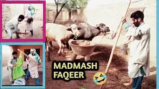 MADMASH FAQEER || FUN FOR YOU -  FREE MAAL
