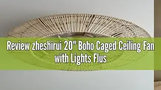 Review zheshirui 20