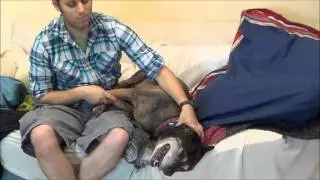 COUCH TIME! With Barksley