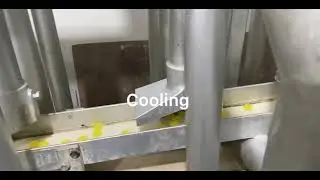 Lozenge, Medicated Candy Manufacturing. #asmr  #satisfying #soothing #manufacturing #herbal #cough