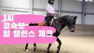 [승마] J씨 & 이강진 코치 | 말의 밸런스 체크 | 경속보 | 에이스 승마랜드 | DK Horse | 마장마술 | Horse Riding