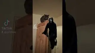 Gosh dance