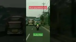 bus sugeng rahayu || bus sumber selamat #shorts