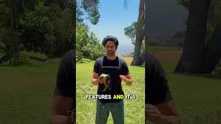 Price drop: $78.99 &rarr; $51.99 #hybridharness #doggear #dog #dogs #doglife #dogvideos #dogharness