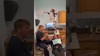 How the Pediatric Dentist at Cool Kid Dental makes your child comfortable for their Dental visit.
