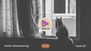 (FREE TO USE) Winter Wind Moans | RARELY SOUND EFFECT