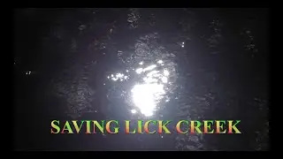Saving Lick Creek
