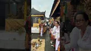 Ni Moleh dan Topeng Sidakarya #langitnimoleh #bali #culture #storytelling #topengsidakarya #odalan