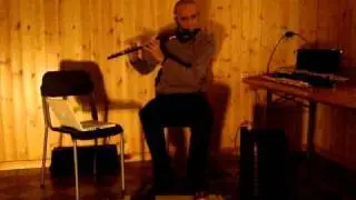 Michele Gori - The Electric Flute - Octaver