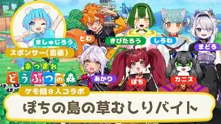 【あつまれどうぶつの森】ぽちの島をきれいにするぞ！草むしり大会🍃～くそダサコーデを添えて～【#新人vtuber /#新熊vtuber 】