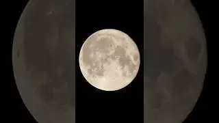 Something flew in front of the super moon when I was filming it on August 2 2023
