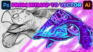 Hawksbill Turtle Illustration - Sketching on Photoshop & Coloring on Adobe Illustrator - Speed Art
