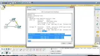 CCNA Routing & Switching: uplink backbone fast
