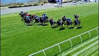 Horses charging down the famous Flemington straight.