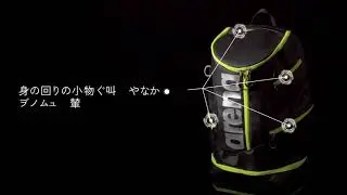 【arena EQUIPMENT RODUCT MOVIE AEALGA01】