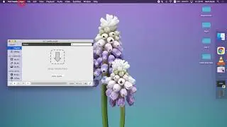 VLC Setup for ZOOM IN MAC