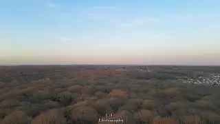 Drone over Benfleet West-Woods