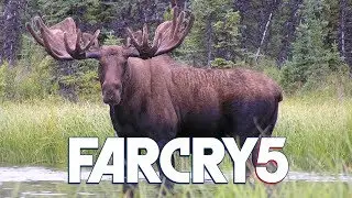 FAR CRY 5 HOW TO KILL A JUDGE MOOSE!