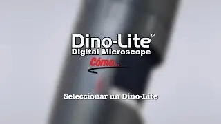 C&oacute;mo: Seleccionar un Dino-Lite