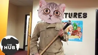 Serial Kitten | The HUB - December 10, 2015