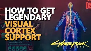 Legendary Visual Cortex Support Cyberpunk 2077 Location
