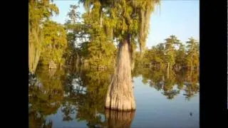 de la Houssaye's Louisiana Swamp Tour August 2011