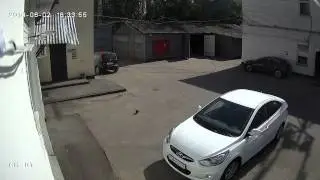 HD SDI видеокамера