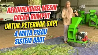 SANGAT COCOK UNTUK TERNAK SAPI MESIN COPER BT3000 #mesincacahrumput 