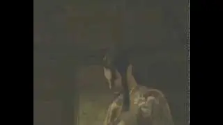 MGS4 - Raiden kills Vamp (no Gekkos)