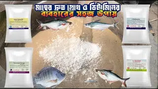 মাছের দ্রুত গ্রোথ ও ভিটামিনের ব্যবহারের সহজ উপায়  || Fish Growth Tips ||  ফিড এডিটিভ কম্বো প্যাক!