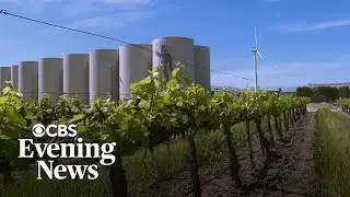 California vineyard uses wind power to make wine