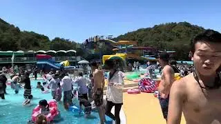 Monkey park pool japan