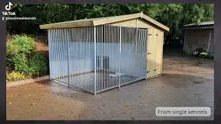 Trim-video-Visit our website www.benchmarkkennels.co.uk-v1