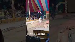 royal circus show video viral