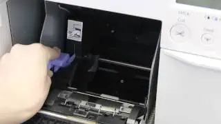 Epson TM-C3500 Roll Paper Change