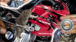 Revisão roda traseira CBR 600 (passo a passo)