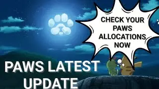 PAWS - Latest Update | Everything Is Set | Check Your Paws Allocation