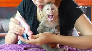 Monkey Baby Donal Scream Not Want Mom Use Losion After Bath