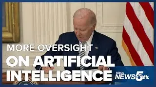 Biden issues executive order to enhance government AI risk monitoring