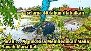 Parah || 40 Tahun Diabaikan || 40 Hektar Sawah Terbengkalai || Normalisasi kali