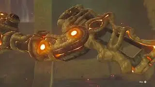 Waterblight Ganon Cutscene!
