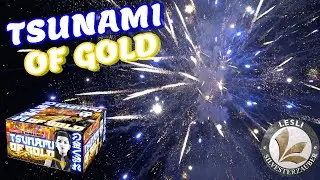 Lesli Tsunami of Gold I Showbox 2020 PyroMan