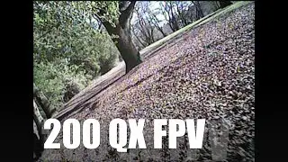 Blade 200 QX FPV: must go faster.
