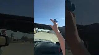 ANNOYING CAR RIDE