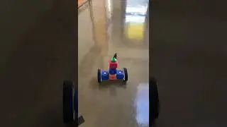 Robotic Animals!