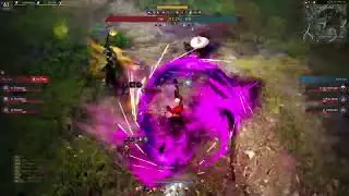 Arena of Zero Chill [BDO PvP Practice]