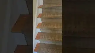 ✅ Removing Red Wine from Stairs Carpeted in New Jersey