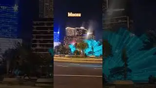 Macau night view