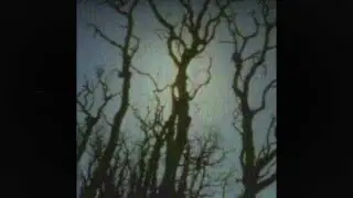 (free for profit) dark post punk + alternative indie rock type beat 