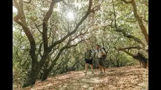 Weekend Getaway Trip Ideas in Virginia Beach